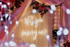 Wedding Proposals Wedding Proposals