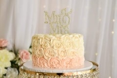 Nichelle and Orane Wedding