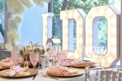Nichelle and Orane Wedding
