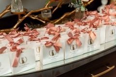 Breanna and Sheas Micro Wedding