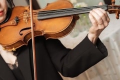 Wedding Violinist