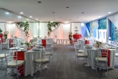 David & Louis' Wedding