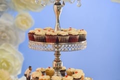David & Louis' Wedding