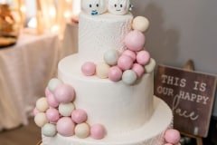 Wedding of Dmytro and Jessica