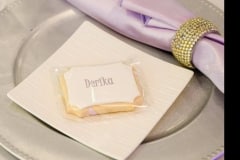 Toronto Micro Wedding