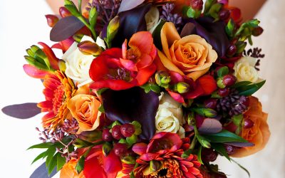 “Give Thanks for Love: Say ‘I Do’ This Thanksgiving Weekend”