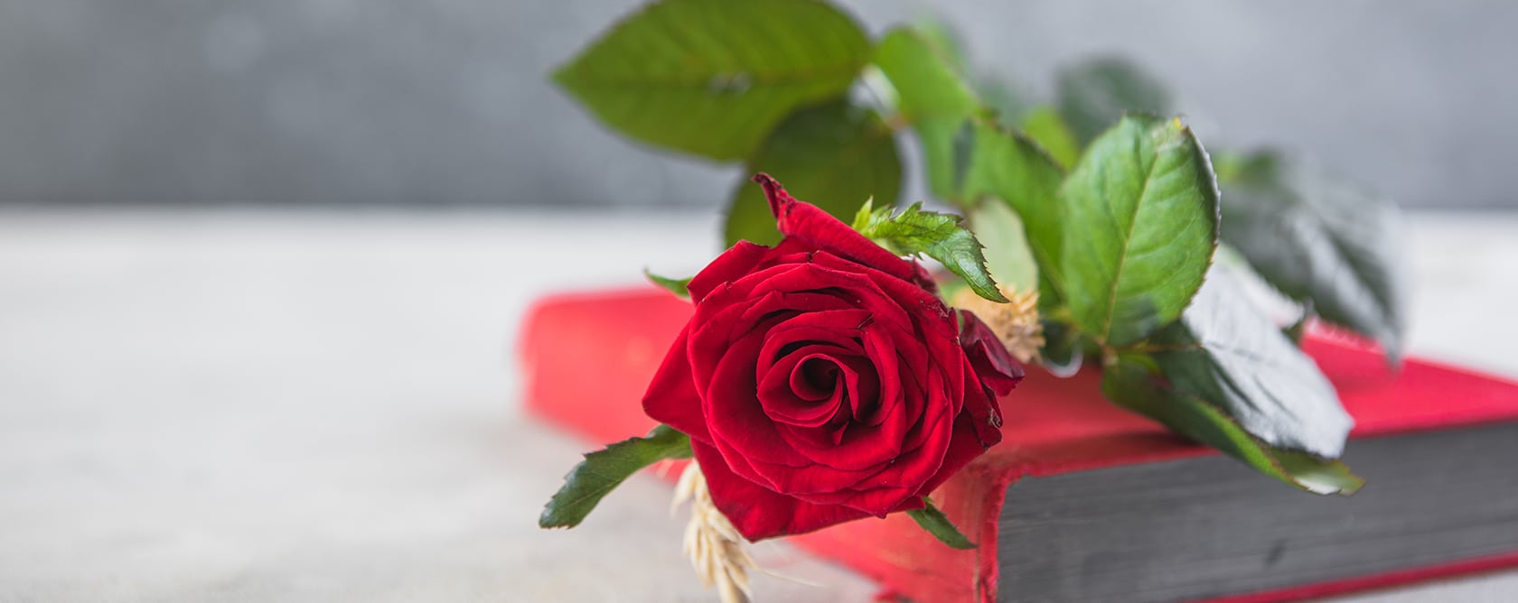 celebration of life